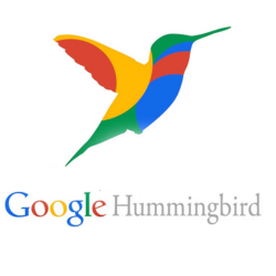 Hummingbird Google Algorithm Update