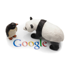 Penguin vs. Panda Google update